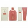 Hair Oribe Bright Blonde Shampoo & Conditioner 8.5 Oz And 6.8 Oz Set